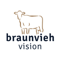 Braunvieh-Vision