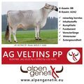 AG-VELTINS-PP