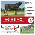 AG-HEIMO