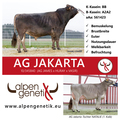 AG-Jakarta-Insta